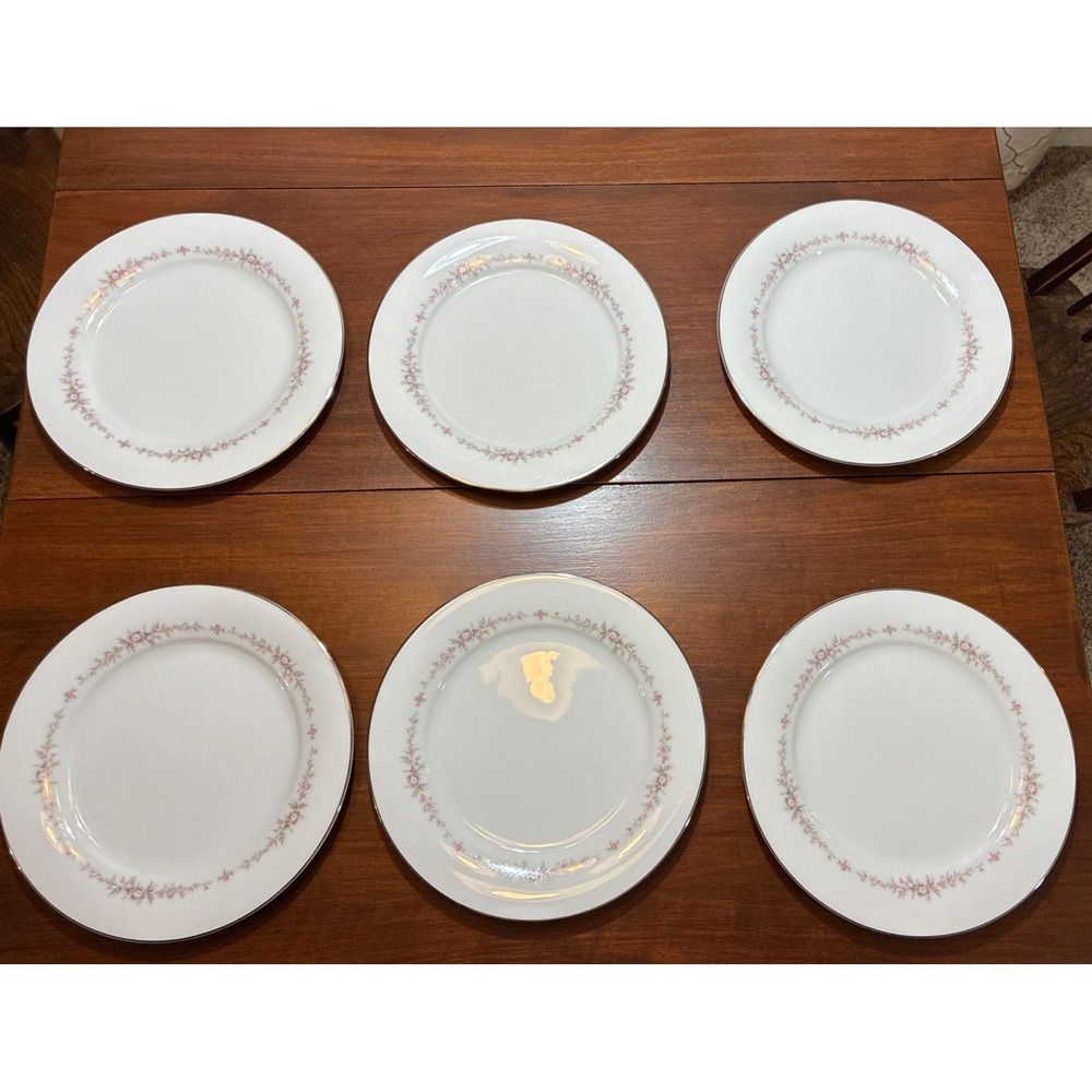 6 Vintage Noritake China Rosepoint Dinner Plates 6206 White Platinum Rim Roses